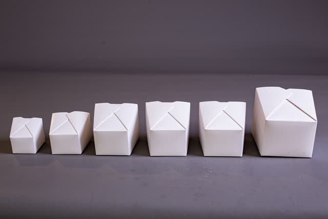 PAPER_PAILS picture 1