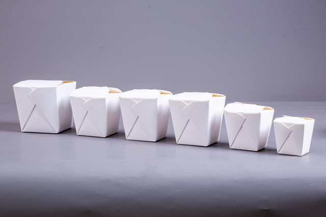PAPER_PAILS picture 2
