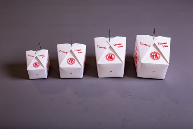 PAPER_PAILS_PRINTED (Steel Wire) picture 1