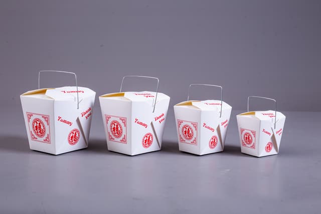 PAPER_PAILS_PRINTED (Steel Wire) picture 2