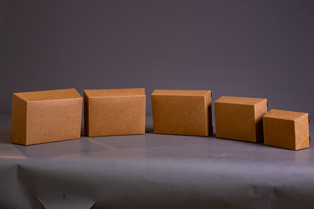 PAPER_TAKE_OUT_BOXES picture 1