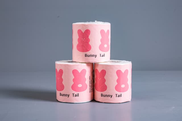 ROLL_OF_TOILET_PAPER picture 1