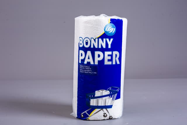 PAPER_TOWELS picture 1