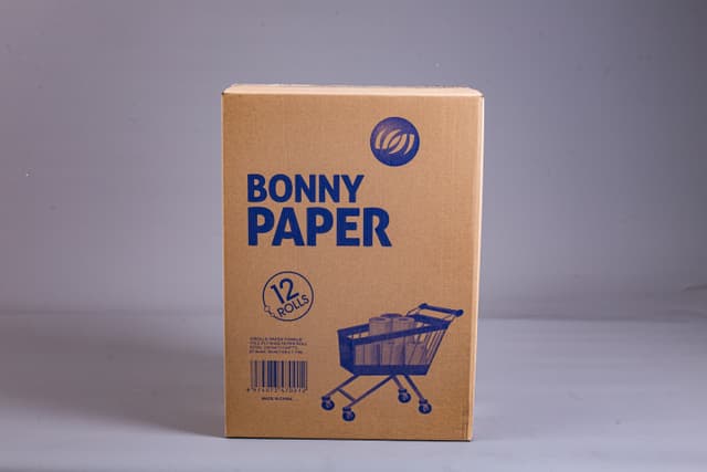 PAPER_TOWELS picture 2
